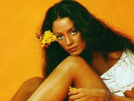 Sonia Braga