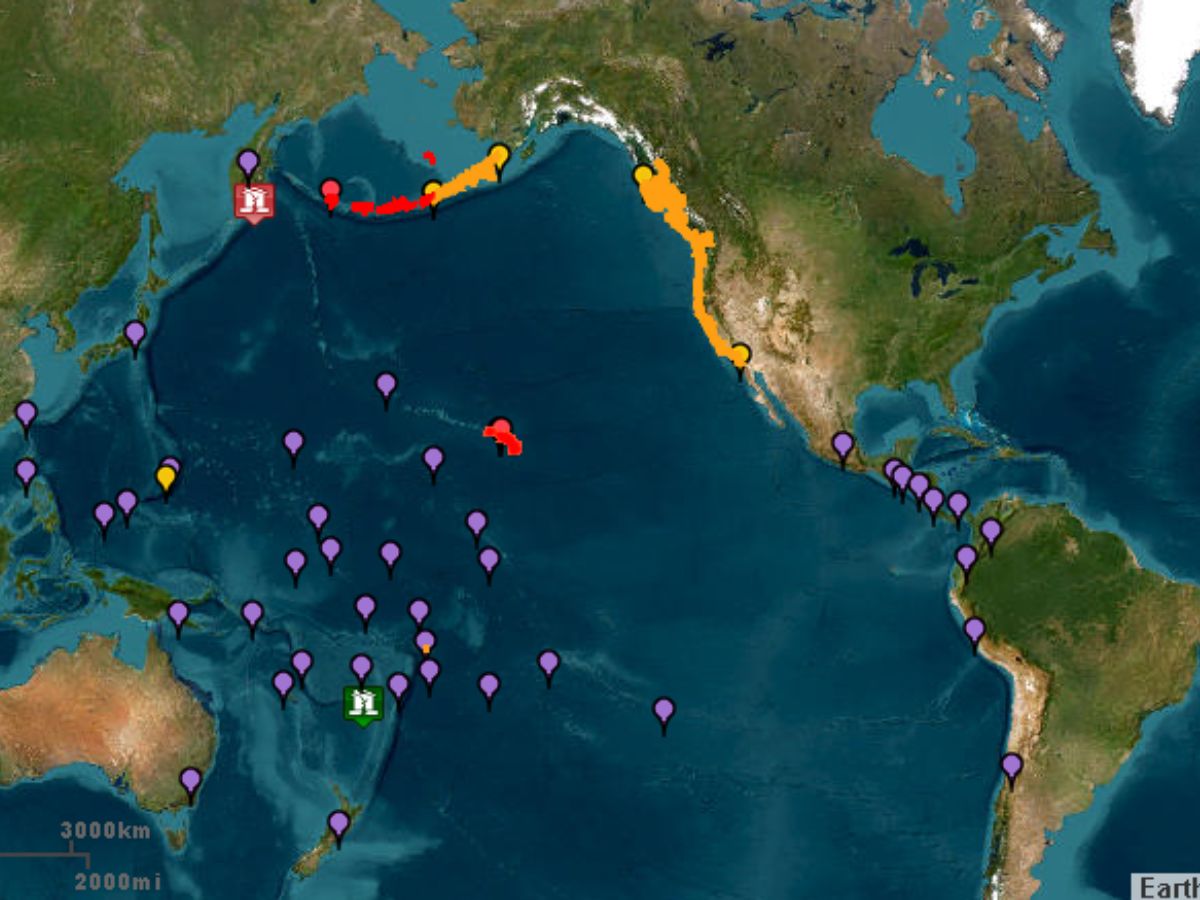 Reprodução: Tsunami.org