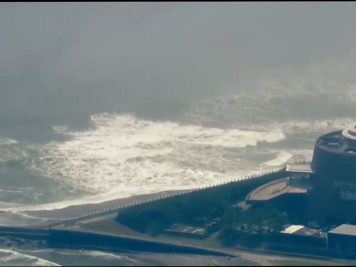 Ondas começam a atingir o Japão. Reprodução X @allenanalysis