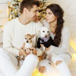 Estudo aponta que tutores evitam se relacionar com quem não gosta de pets