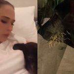 Cadela de Tatá Werneck morde porco-espinho e assusta a família. Veja foto