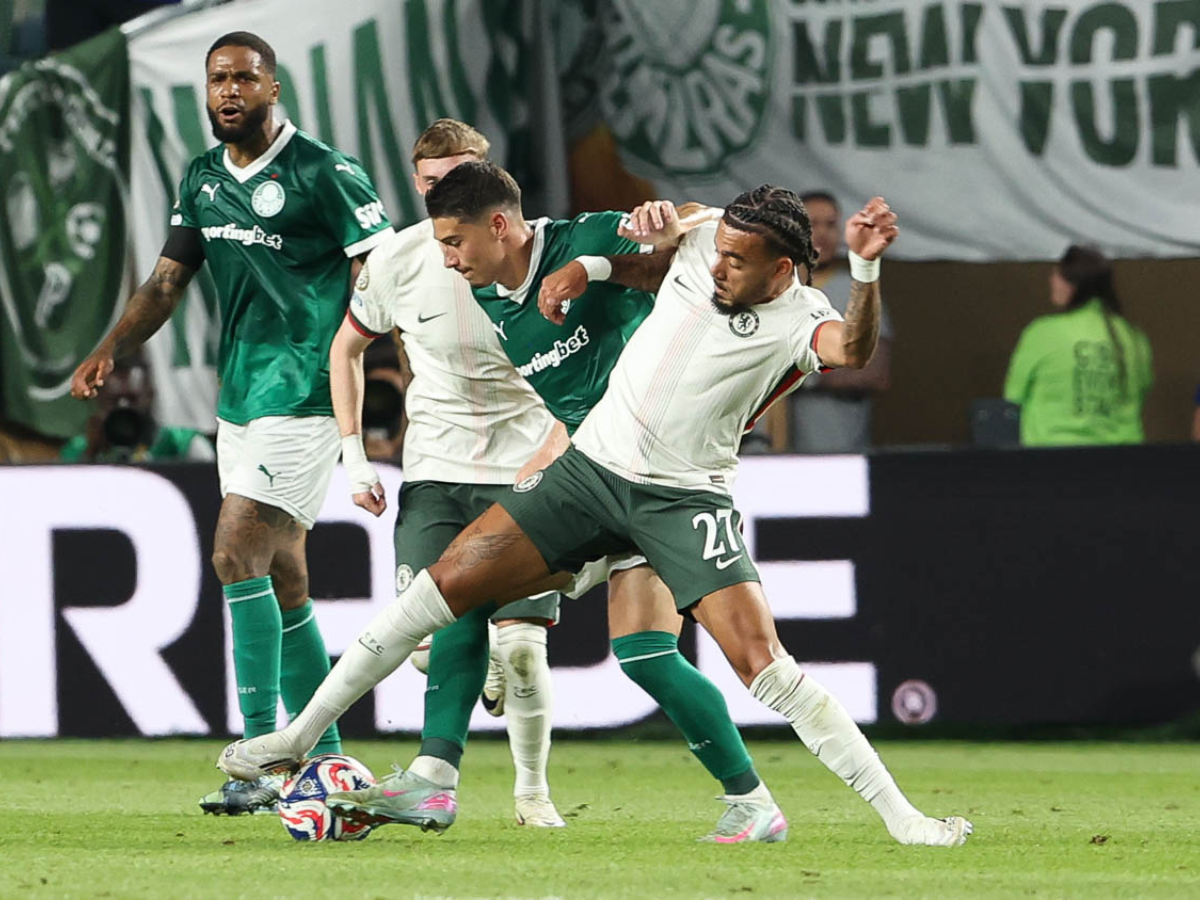 Cesar Greco/Palmeiras