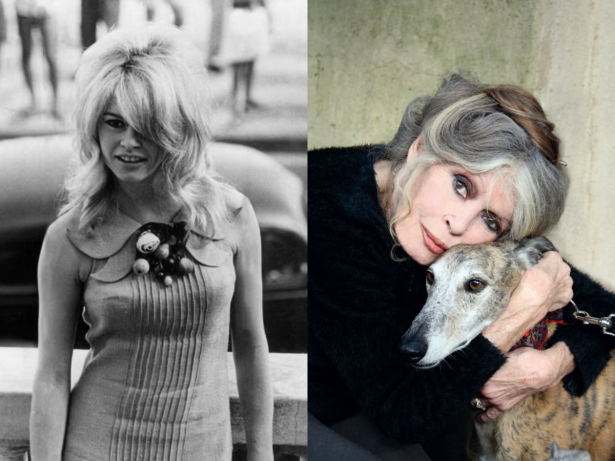 Ícone do cinema e ativista, francesa Brigitte Bardot morre aos 91 anos