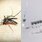 Alerta: Ministério da Saúde suspende vacina da dengue para investigar mortes