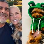 Junno Andrade lamenta perda de cachorro com Xuxa: “Meu companheirinho”
