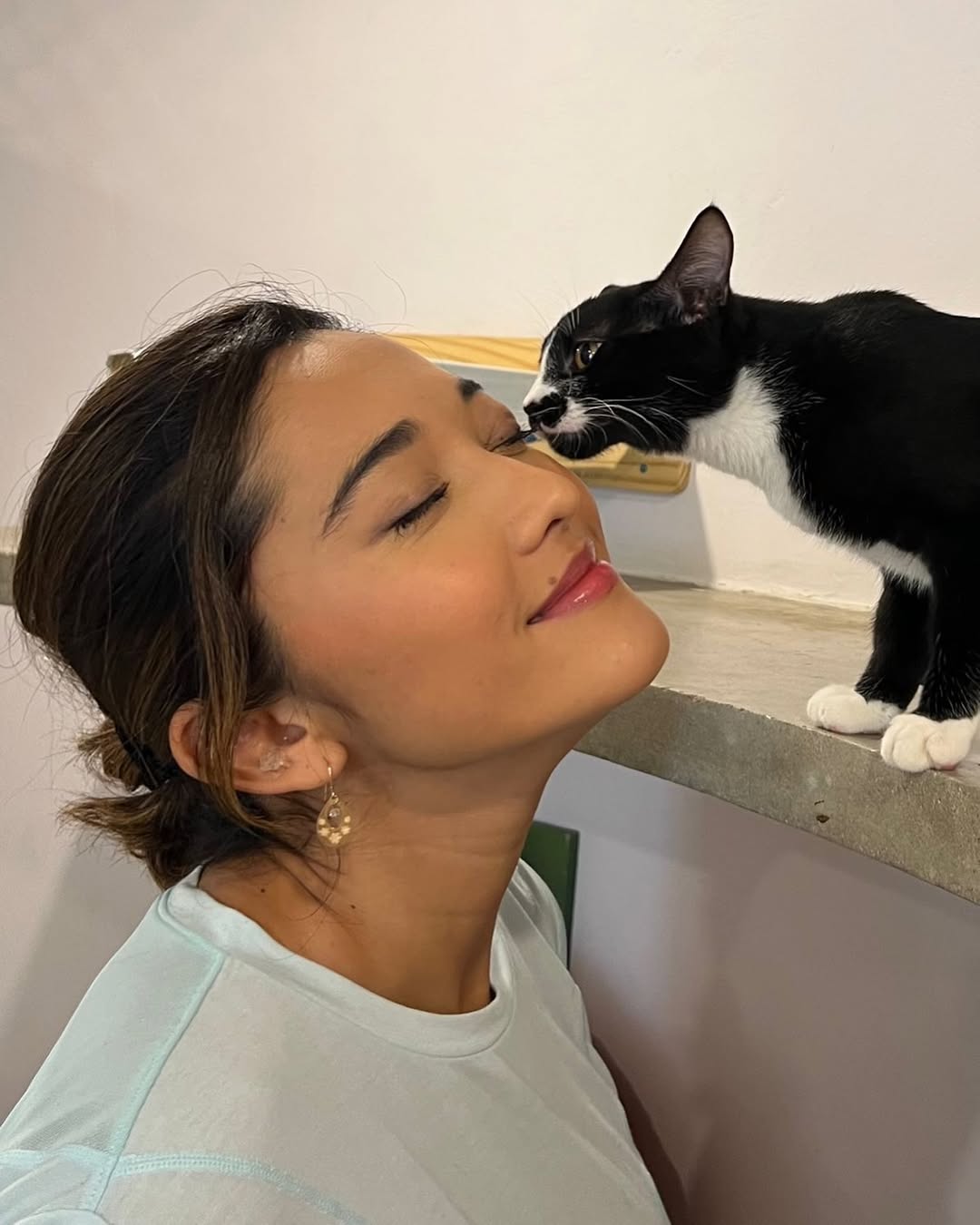Divulgação: Instagram/@house_of_cats__ Divulgação: Instagram/@house_of_cats__