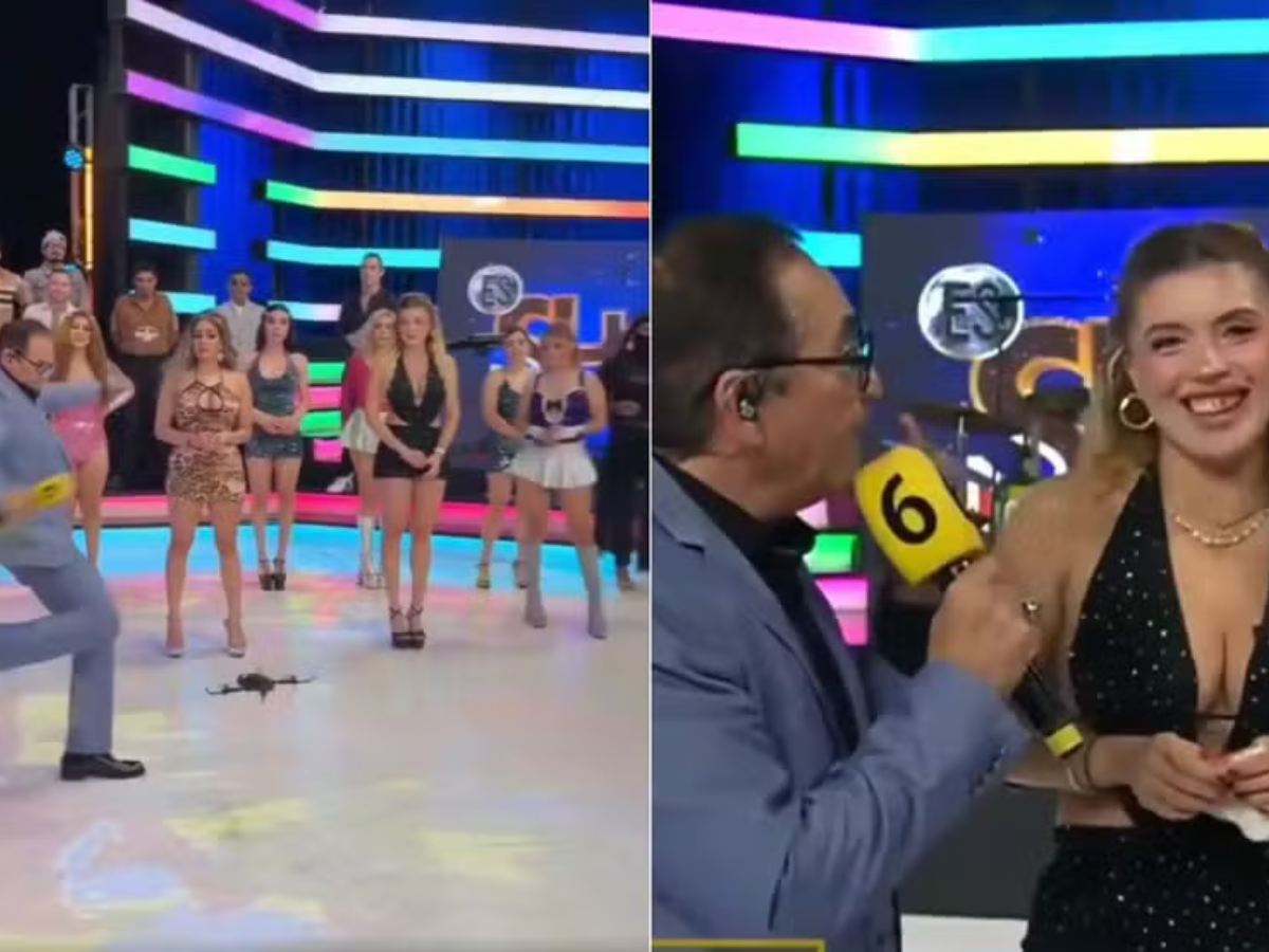 Reprodução/Divulgação Reprodução/Divulgação