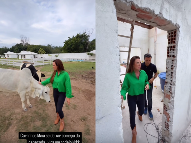 Nicole Bahls compartilha detalhes das reformas em seu famoso sítio. Veja o vídeo