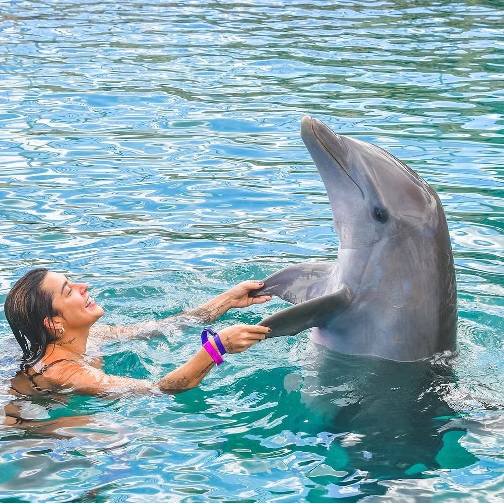 Lauana Prado e namorada posam com golfinhos no Caribe (Foto: Reprodução / Instagram