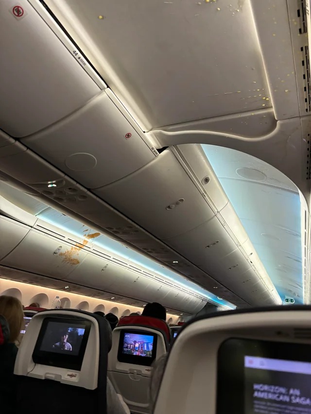 Turbulência em voo da Air Canada (Foto: Reprodução)