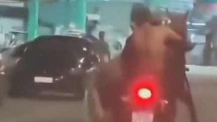 Cavalo é transportado em moto no Rio de Janeiro e vídeo viraliza