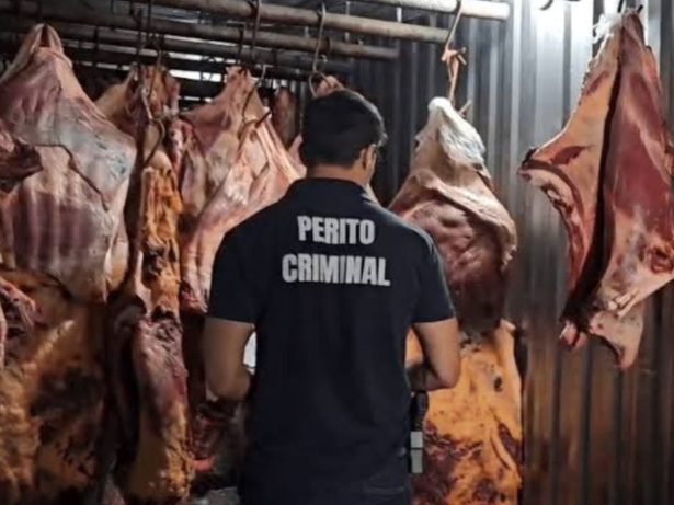 Saiba identificar carne imprópria para consumo após a “Operação Carne Fraca”