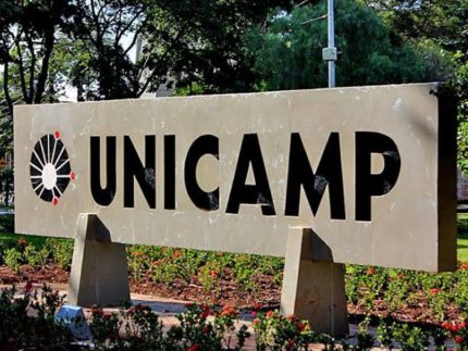 Unicamp descobre como proteína pode influenciar o desenvolvimento da esquizofrenia