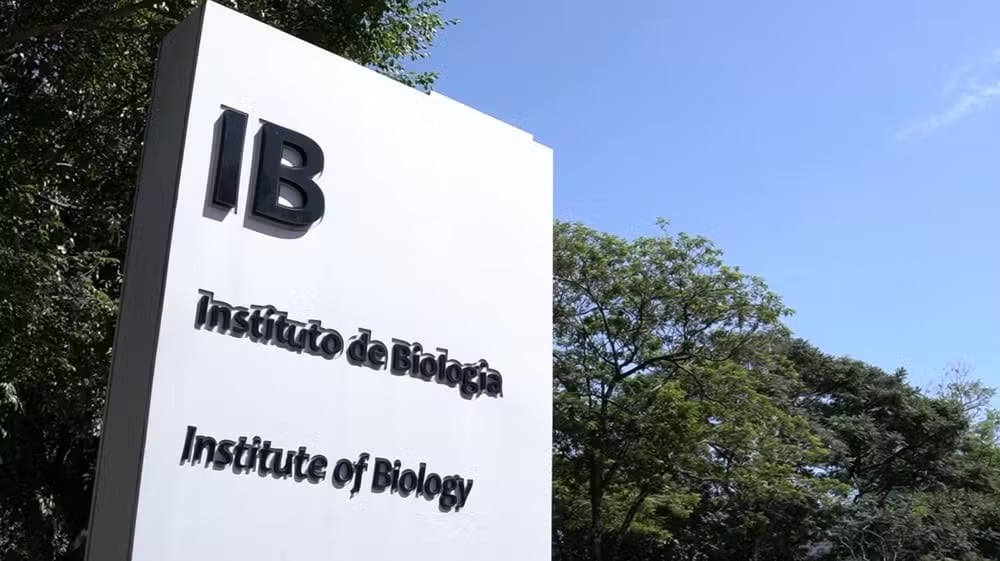 Foto: Reprodução/EPTV