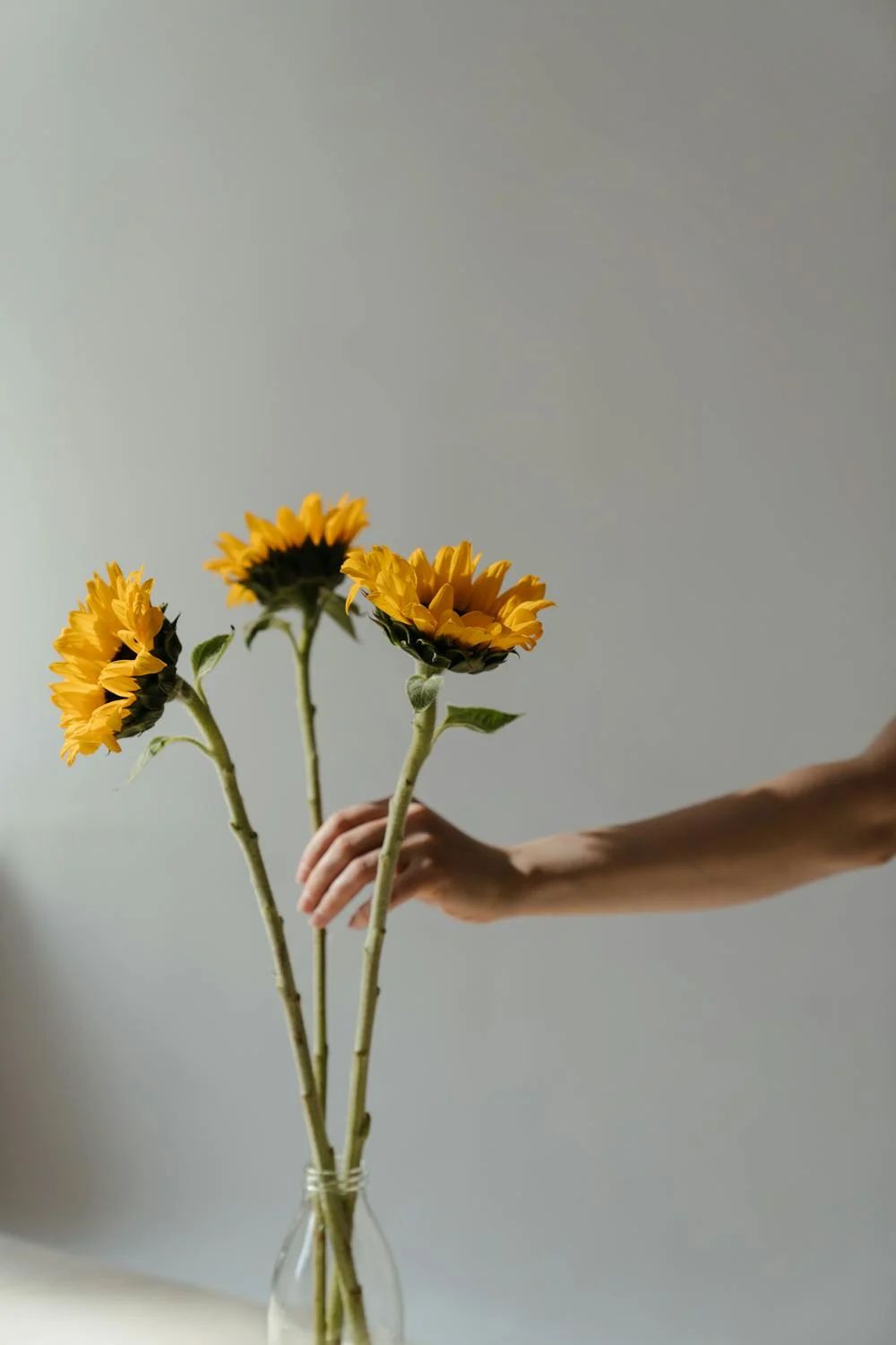 Foto/Pexels