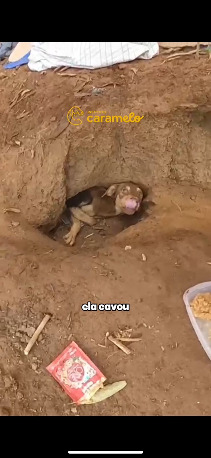 Reprodução