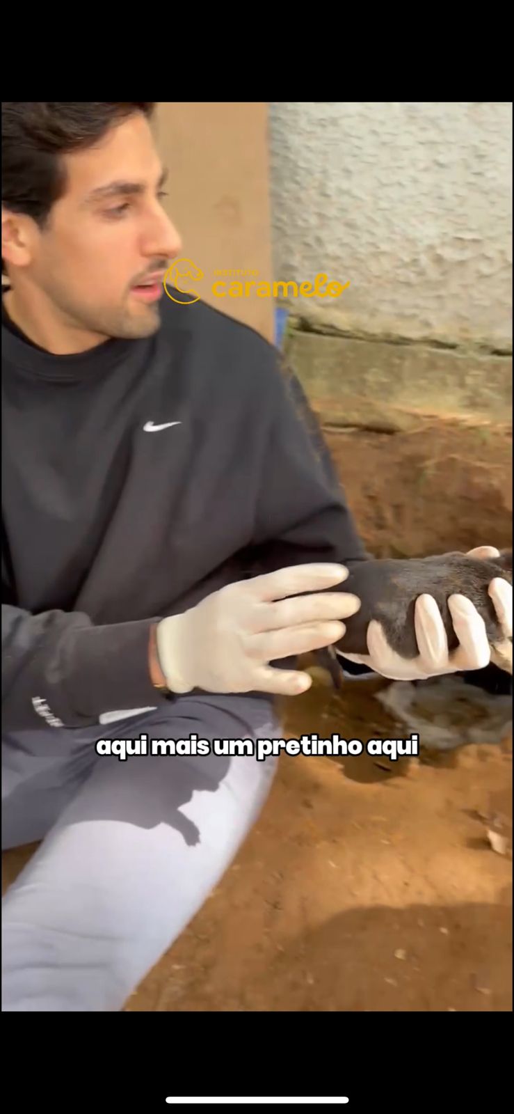 Reprodução