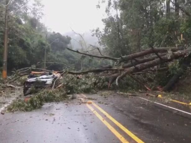 RS registra terceira morte por causa da chuva, confirma Defesa Civil