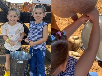 Maria Alice e Maria Flor ordenham vacas na fazenda de Leonardo
