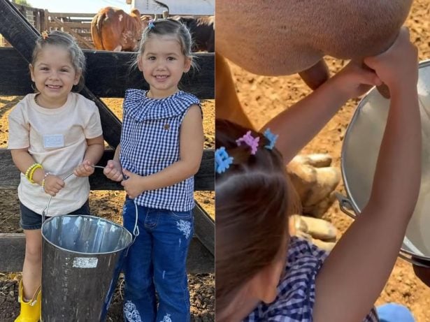 Maria Alice e Maria Flor ordenham vacas na fazenda de Leonardo