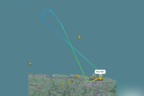 Avião retorna após mulher ler “descanse em paz” em celular de passageiro