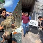 Julinho Casares resgata cachorro abandonado e ferido na Zona Leste de São Paulo