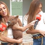 Na fazenda, Nicole Bahls passa perrengue após porquinha fazer cocô em seu colo