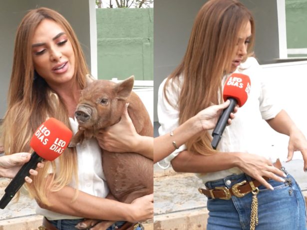 Na fazenda, Nicole Bahls passa perrengue após porquinha fazer cocô em seu colo