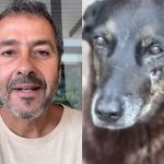 Vídeo de Marcos Palmeira pedindo doações por cão Orelha é fake, alerta equipe