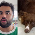 Após ser acusado de abandonar cadela, Lucas Guedez se manifesta