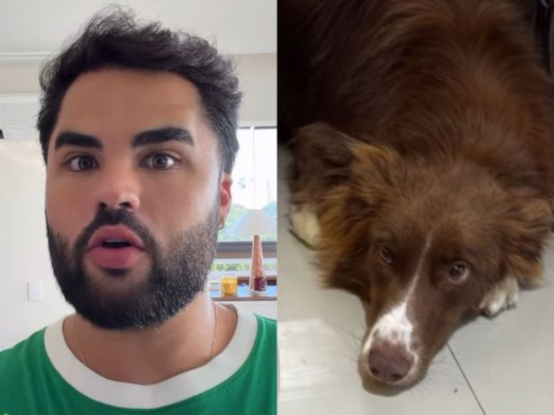 Após ser acusado de abandonar cadela, Lucas Guedez se manifesta