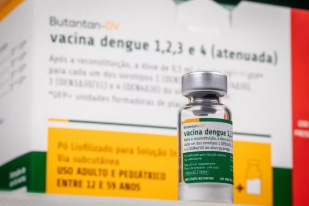 Vacina da dengue: quem foi imunizado há mais de 21 dias pode ficar “descansado”, diz Butantan