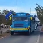 Campeões do carisma: com direito a ônibus escolar e dancinha, Curaçao viraliza nas redes