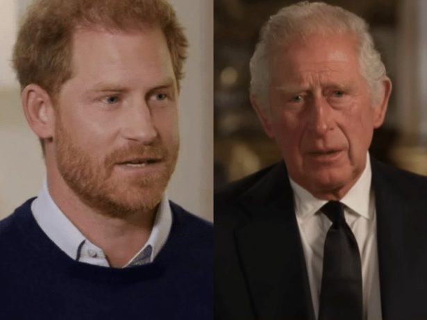 Fonte revela que Harry tomou decisão sobre futuro da relação com a Família Real