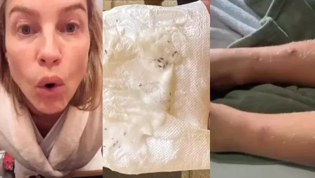 Luana Piovani critica Pedro Scooby após encontrar piolhos em filha: “Entreter não é cuidar”