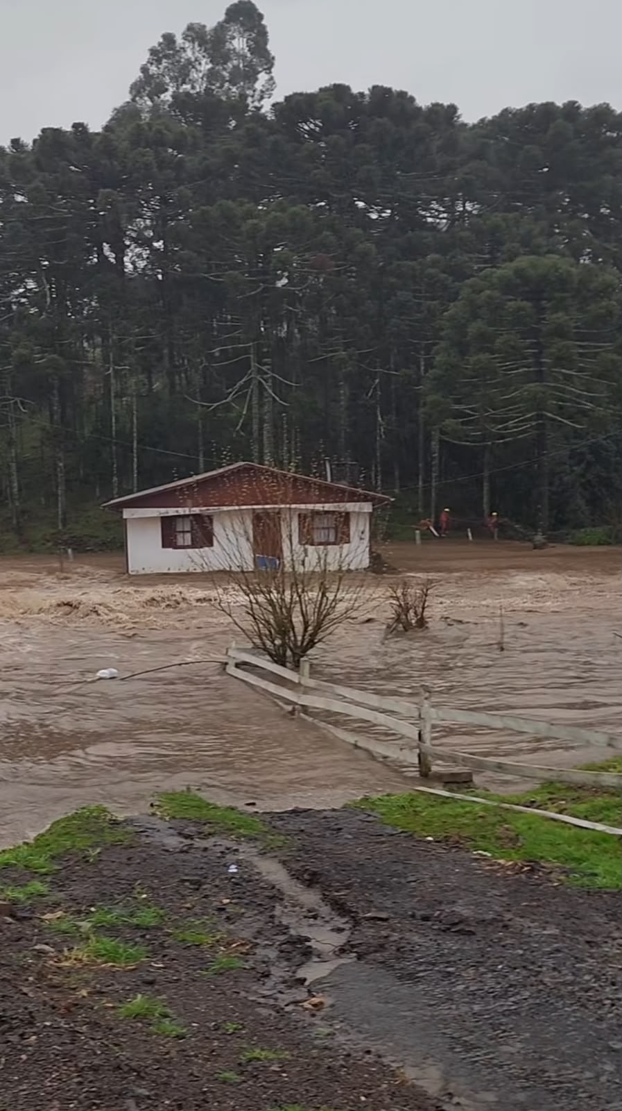 Crédito: Reprodução: Instagram/@bomjardimdaserraemfotos Crédito: Reprodução: Instagram/@bomjardimdaserraemfotos