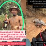 Tutor de cavalo mutilado em São Paulo é liberado pela polícia após pagar fiança