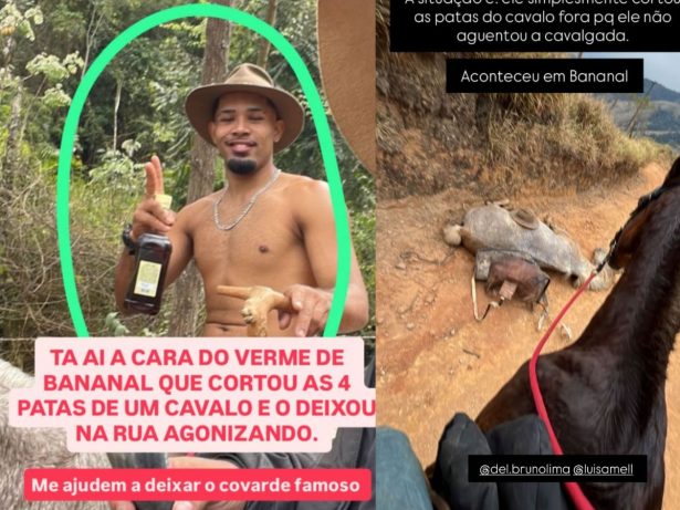 Tutor de cavalo mutilado em São Paulo é liberado pela polícia após pagar fiança