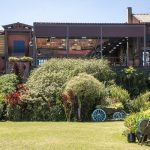 Reality internacional vai ocupar até o pasto de “A Fazenda” e área de “A Grande Conquista”