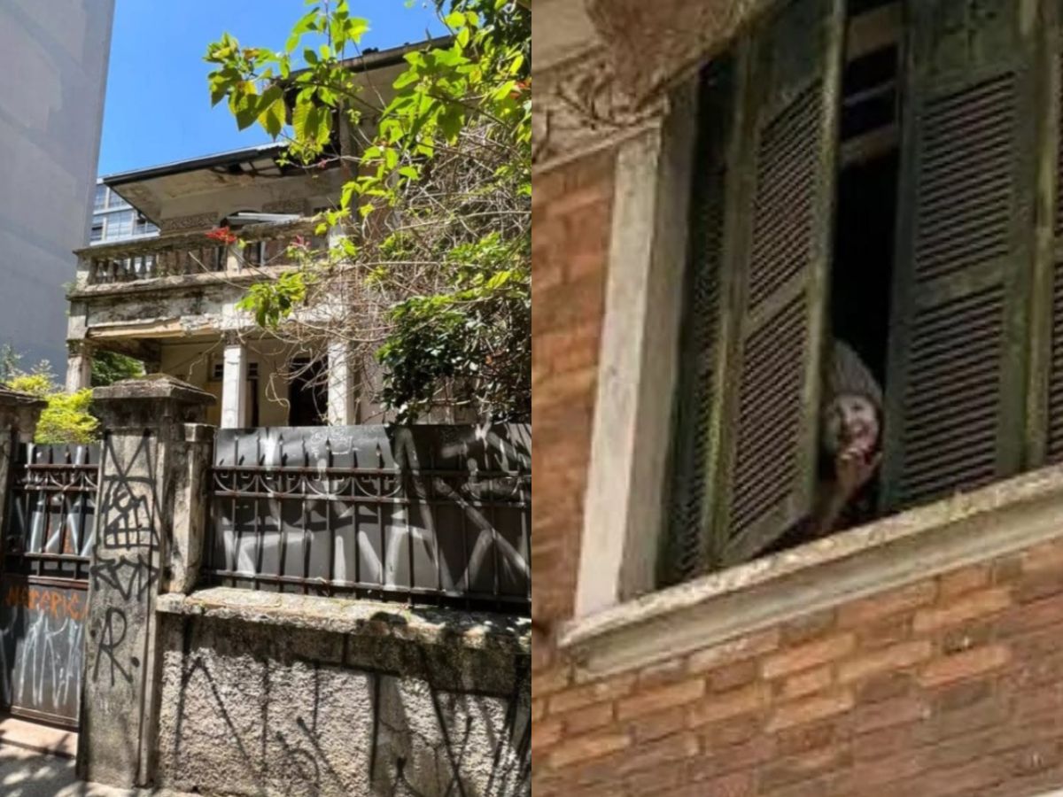 Reprodução 