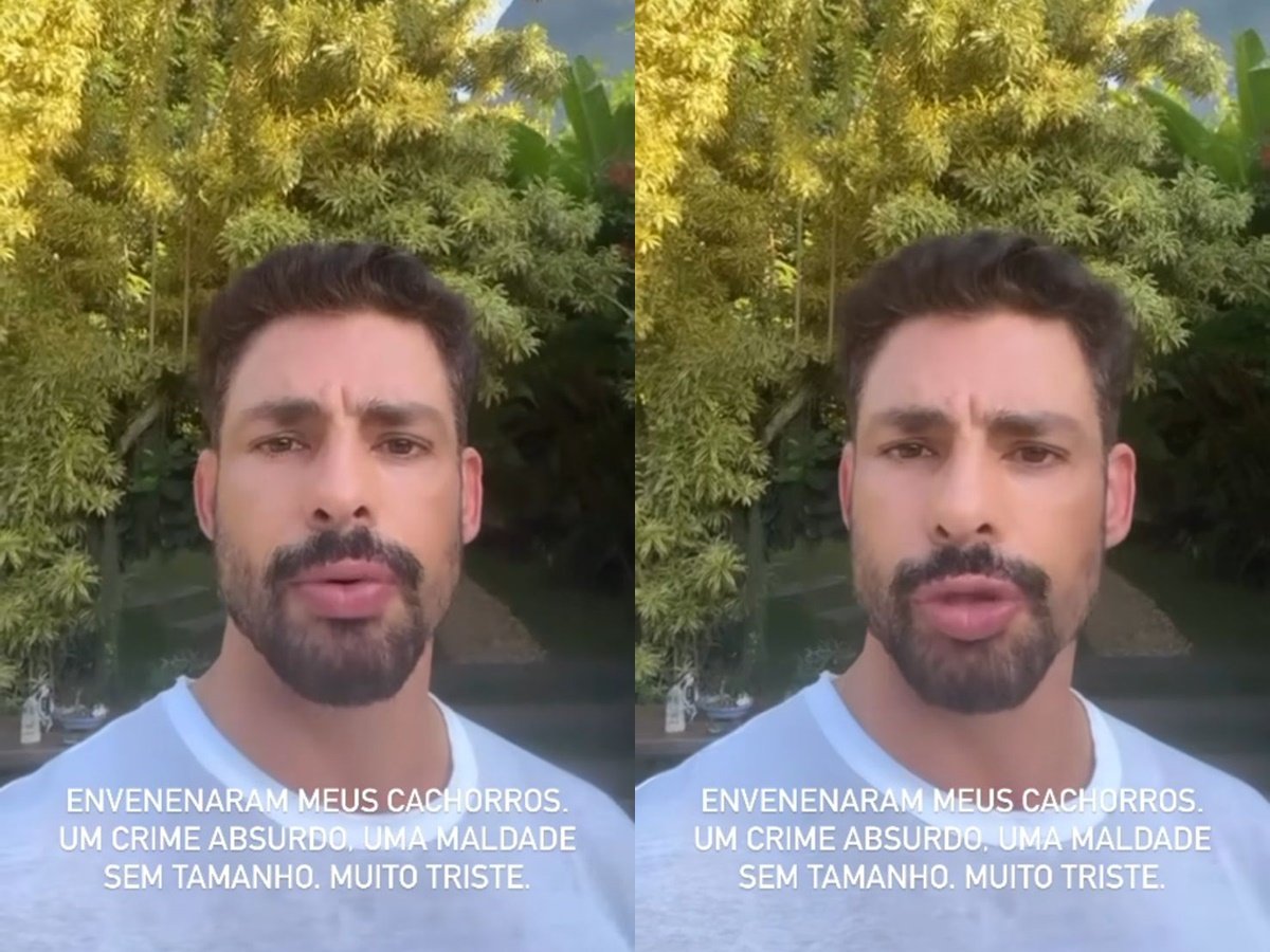 Cauã Reymond informa que seus dois cachorros foram envenenados com chumbinho (Reprodução: Instagram)