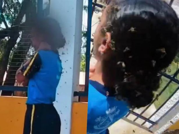 Motoboy leva 40 picadas ao salvar menina de ataque de abelhas em MG