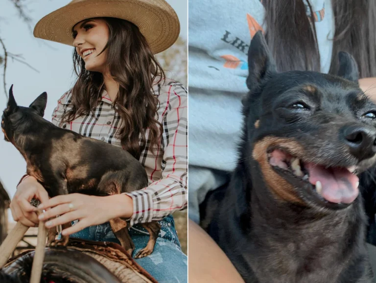 Ana Castela lamenta perda de cachorrinha companheira de infância