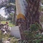 Avião cai em plantação de dendê em Bonito, no Pará, e deixa dois feridos