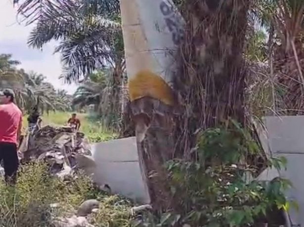 Avião cai em plantação de dendê em Bonito, no Pará, e deixa dois feridos