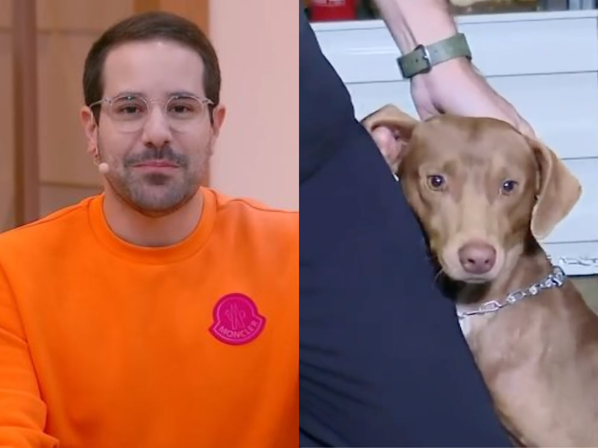 Paulo Mathias adota cachorro que ficou órfão com chuvas no Rio Grande do Sul (Reprodução/Montagem/SBT)