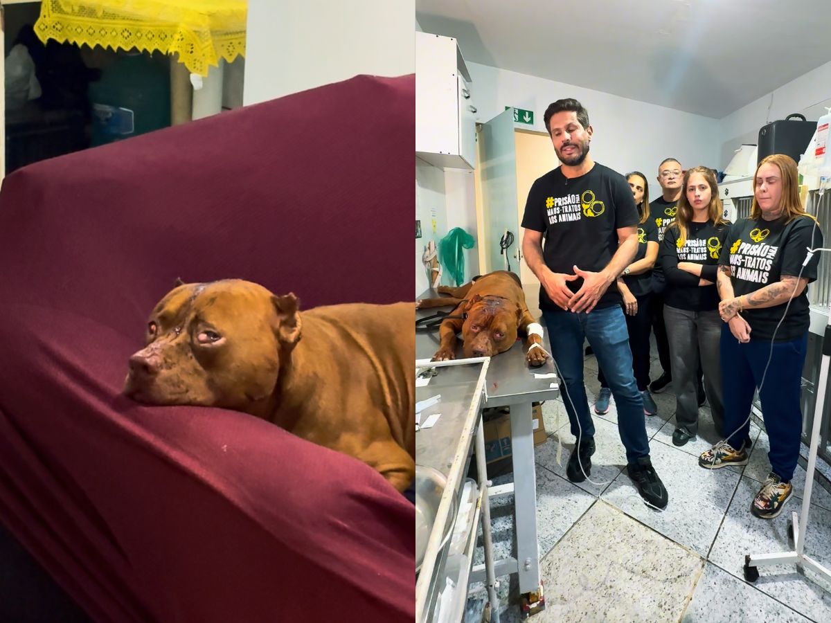 Reprodução Instagram Reprodução Instagram