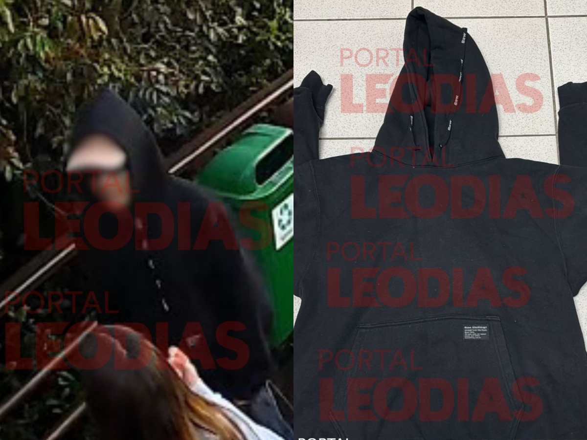 portal LeoDias portal LeoDias