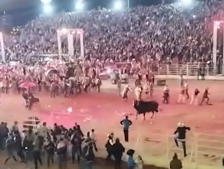 Touro invade arena antes de show de Ana Castela e parte pra cima do público