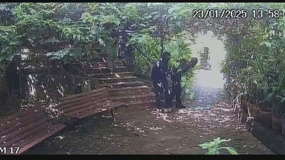 Bandidos encapuzados invadiram a casa do presidente do Botafogo pela mata / Reprodução